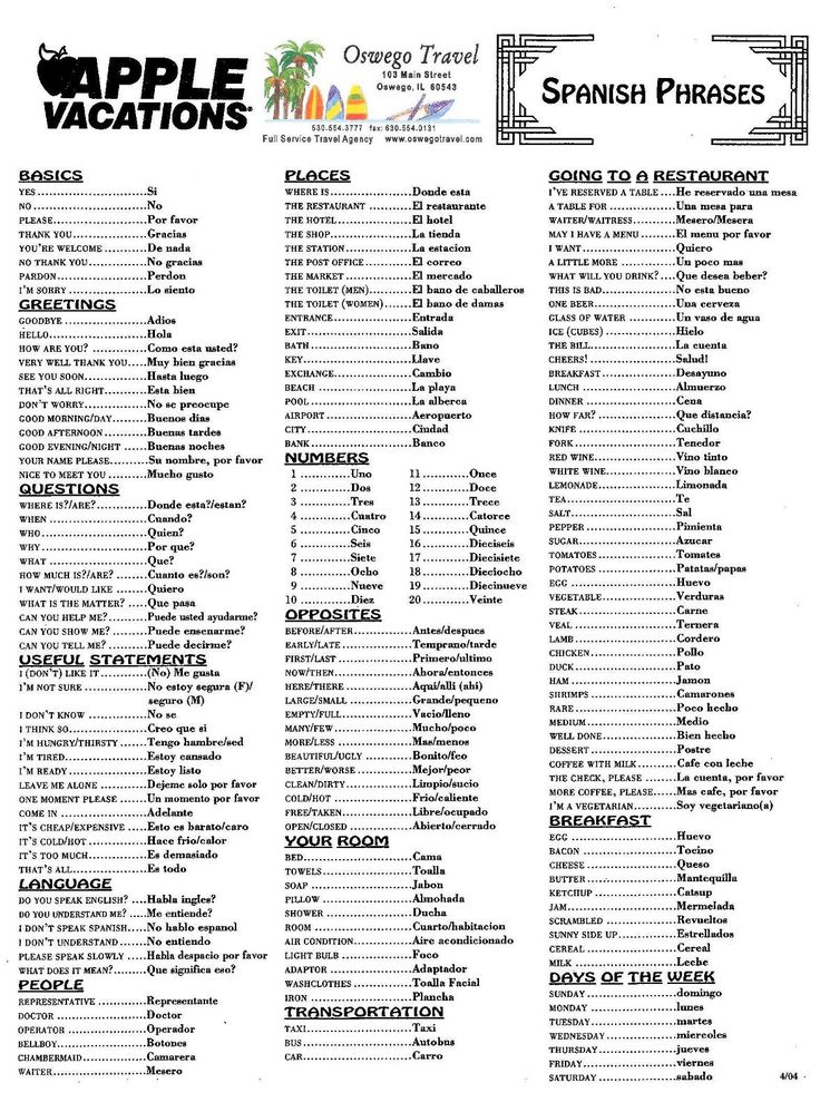 spanish vocabulary for beginners pdf